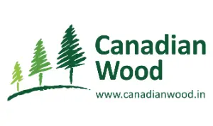 our partner