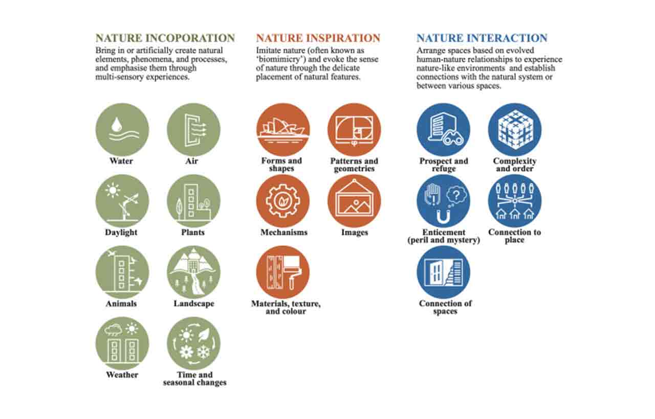 Biophilic Design - Building Material Reporter