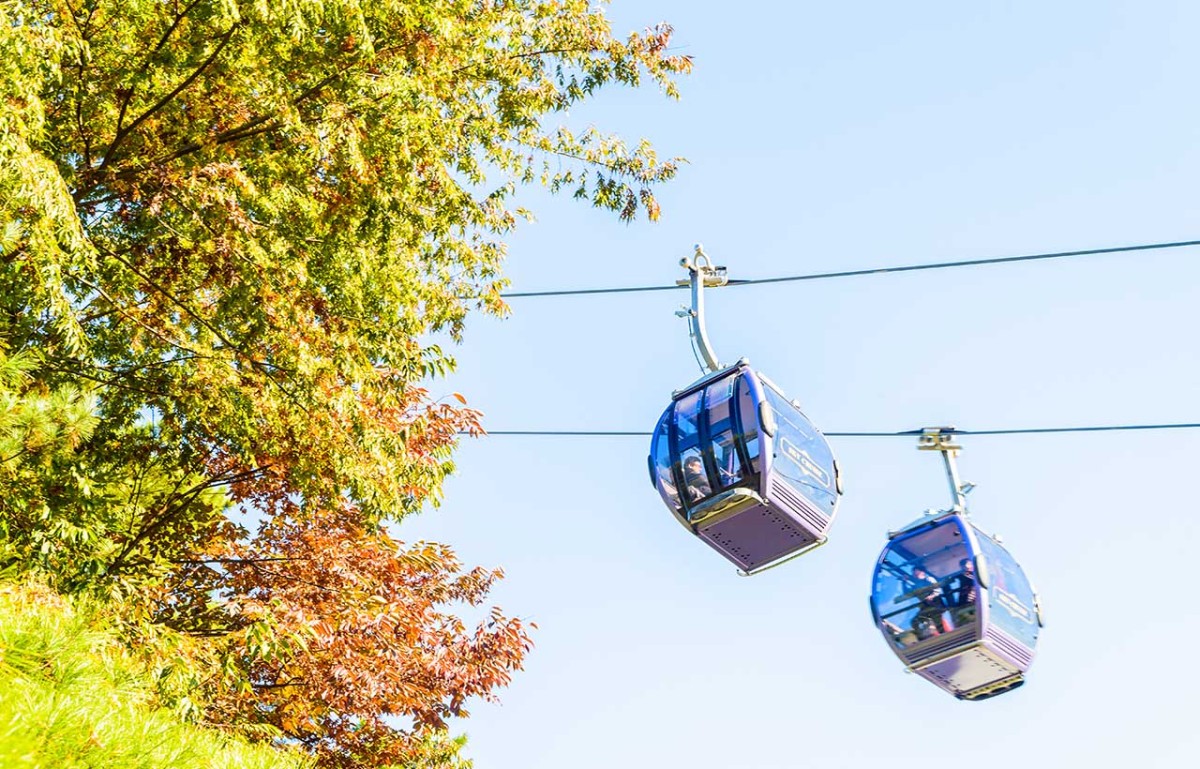 Varanasi Ropeway: The Switzerland Connection Behind India’s Latest Urban Marvel