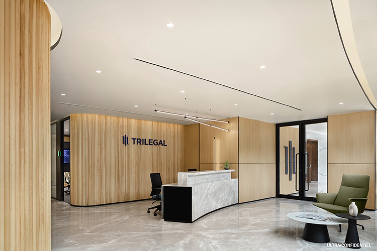 Dynamic Office Spaces: Fluidity in Design